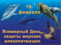 19 февраля - Всемирный день защиты морских млекопитающих и Всемирный день китов.