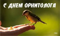 19 февраля - День орнитолога в России. 