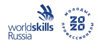 WorldSkills Russia - новый формат – в режиме онлайн.